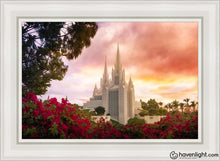 Load image into Gallery viewer, San Diego Flowers Open Edition Canvas / 24 X 36 White Frame Art