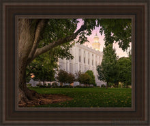 Load image into Gallery viewer, St. George Tree Of Life Open Edition Canvas / 11 X 14 Brown Frame Art