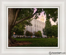 Load image into Gallery viewer, St. George Tree Of Life Open Edition Canvas / 11 X 14 White Frame Art