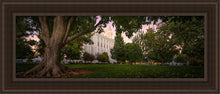 Load image into Gallery viewer, St. George Tree Of Life Open Edition Canvas / 12 X 36 Brown Frame Art