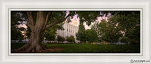 Load image into Gallery viewer, St. George Tree Of Life Open Edition Canvas / 12 X 36 White Frame Art