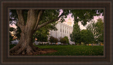 Load image into Gallery viewer, St. George Tree Of Life Open Edition Canvas / 15 X 30 Brown Frame Art