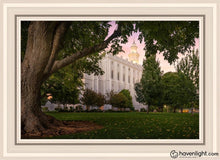 Load image into Gallery viewer, St. George Tree Of Life Open Edition Canvas / 20 X 30 White Frame Art