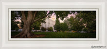 Load image into Gallery viewer, St. George Tree Of Life Open Edition Canvas / 6 X 18 White Frame Art