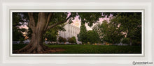 Load image into Gallery viewer, St. George Tree Of Life Open Edition Canvas / 8 X 24 White Frame Art