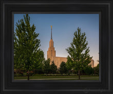 Load image into Gallery viewer, Twin Falls Green Glory Open Edition Canvas / 11 X 14 Black Frame Art