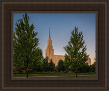 Load image into Gallery viewer, Twin Falls Green Glory Open Edition Canvas / 11 X 14 Brown Frame Art