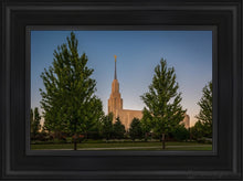 Load image into Gallery viewer, Twin Falls Green Glory Open Edition Canvas / 12 X 18 Black Frame Art