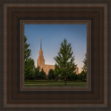 Load image into Gallery viewer, Twin Falls Green Glory Open Edition Canvas / 6 X Brown Frame Art