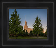 Load image into Gallery viewer, Twin Falls Green Glory Open Edition Canvas / 8 X 10 Black Frame Art