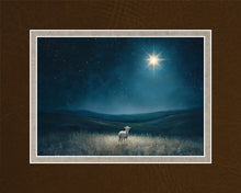 Load image into Gallery viewer, Star of Bethlehem
