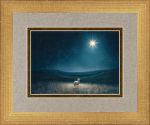 Load image into Gallery viewer, Star of Bethlehem
