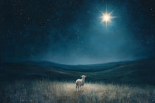 Load image into Gallery viewer, Star of Bethlehem
