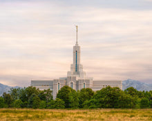 Load image into Gallery viewer, Mt. Timpanogos Utah Temple A Celestial House

