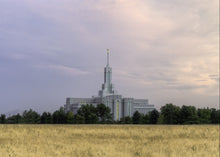Load image into Gallery viewer, Mt. Timpanogos Utah Temple House of Worship
