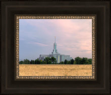 Load image into Gallery viewer, Mt. Timpanogos Utah Temple House of Worship
