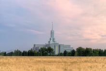 Load image into Gallery viewer, Mt. Timpanogos Utah Temple House of Worship
