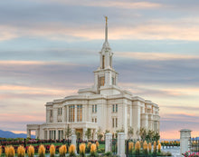 Load image into Gallery viewer, Payson Utah Temple His Holy House
