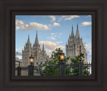 Load image into Gallery viewer, Salt Lake City Temple Welcome to the Temple
