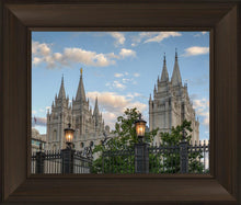 Load image into Gallery viewer, Salt Lake City Temple Welcome to the Temple
