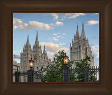 Load image into Gallery viewer, Salt Lake City Temple Welcome to the Temple
