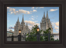 Load image into Gallery viewer, Salt Lake City Temple Welcome to the Temple
