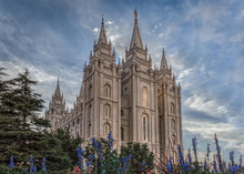 Load image into Gallery viewer, Salt Lake City Utah Temple House of Holiness
