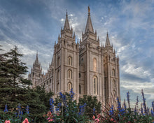 Load image into Gallery viewer, Salt Lake City Utah Temple House of Holiness Gallery Wrap
