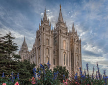 Load image into Gallery viewer, Salt Lake City Utah Temple House of Holiness

