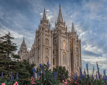 Load image into Gallery viewer, Salt Lake City Utah Temple House of Holiness Gallery Wrap
