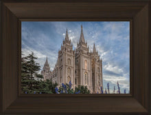 Load image into Gallery viewer, Salt Lake City Utah Temple House of Holiness
