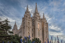 Load image into Gallery viewer, Salt Lake City Utah Temple House of Holiness Gallery Wrap

