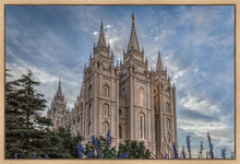 Load image into Gallery viewer, Salt Lake City Utah Temple House of Holiness Gallery Wrap
