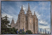Load image into Gallery viewer, Salt Lake City Utah Temple House of Holiness Gallery Wrap
