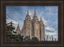 Load image into Gallery viewer, Salt Lake City Utah Temple House of Holiness
