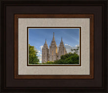 Load image into Gallery viewer, Salt Lake City Utah Temple In His Light
