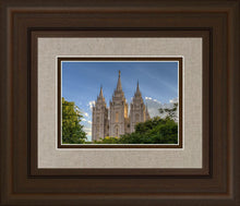 Load image into Gallery viewer, Salt Lake City Utah Temple In His Light
