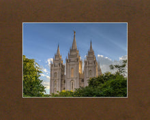 Load image into Gallery viewer, Salt Lake City Utah Temple In His Light
