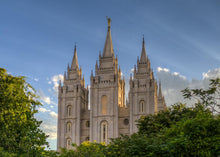 Load image into Gallery viewer, Salt Lake City Utah Temple In His Light

