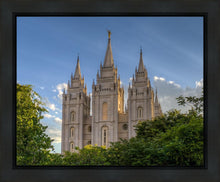 Load image into Gallery viewer, Salt Lake City Utah Temple In His Light Gallery Wrap
