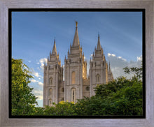 Load image into Gallery viewer, Salt Lake City Utah Temple In His Light Gallery Wrap

