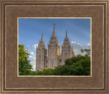 Load image into Gallery viewer, Salt Lake City Utah Temple In His Light

