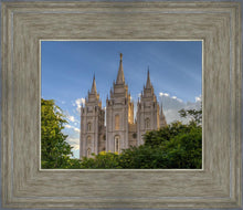 Load image into Gallery viewer, Salt Lake City Utah Temple In His Light
