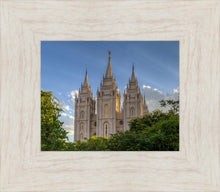 Load image into Gallery viewer, Salt Lake City Utah Temple In His Light
