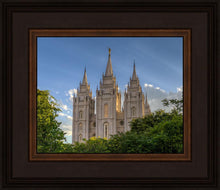 Load image into Gallery viewer, Salt Lake City Utah Temple In His Light
