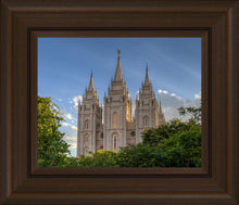Load image into Gallery viewer, Salt Lake City Utah Temple In His Light
