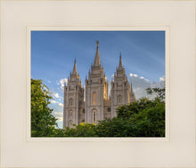Load image into Gallery viewer, Salt Lake City Utah Temple In His Light
