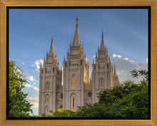 Load image into Gallery viewer, Salt Lake City Utah Temple In His Light Gallery Wrap
