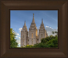Load image into Gallery viewer, Salt Lake City Utah Temple In His Light
