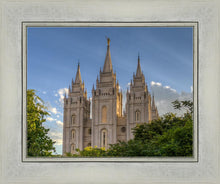 Load image into Gallery viewer, Salt Lake City Utah Temple In His Light
